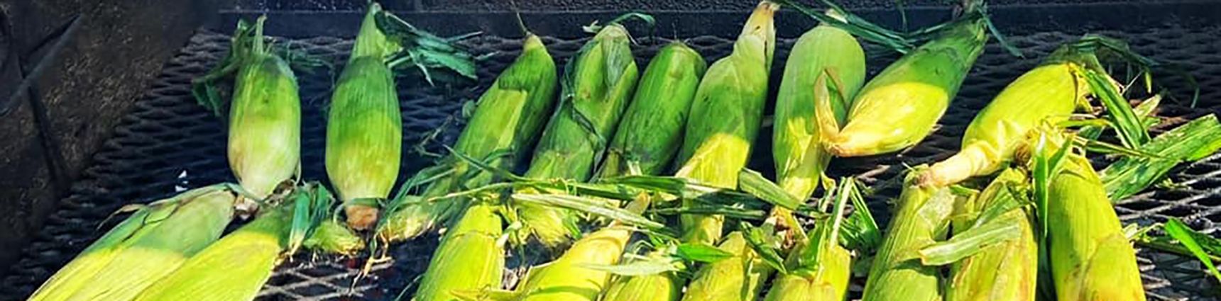 corn-header.jpeg